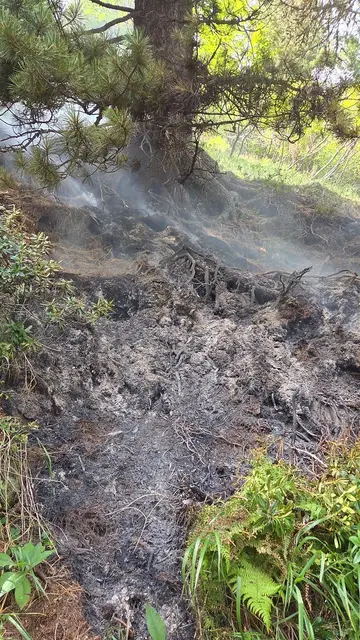 Foto: Feuerwehren Niederwölz und Krakaudorf