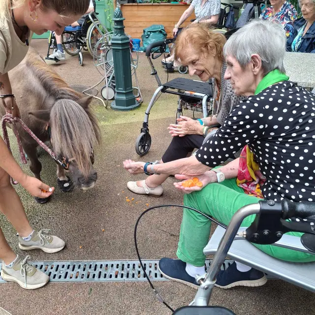 Foto: Häuser zum Leben