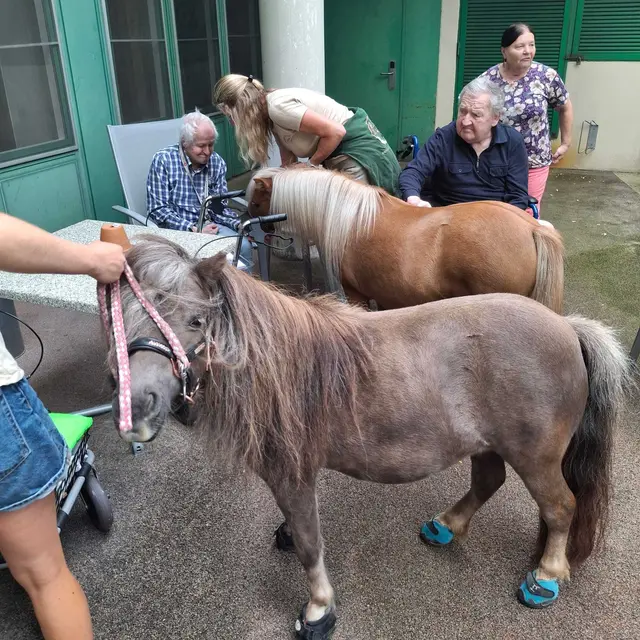 Foto: Häuser zum Leben