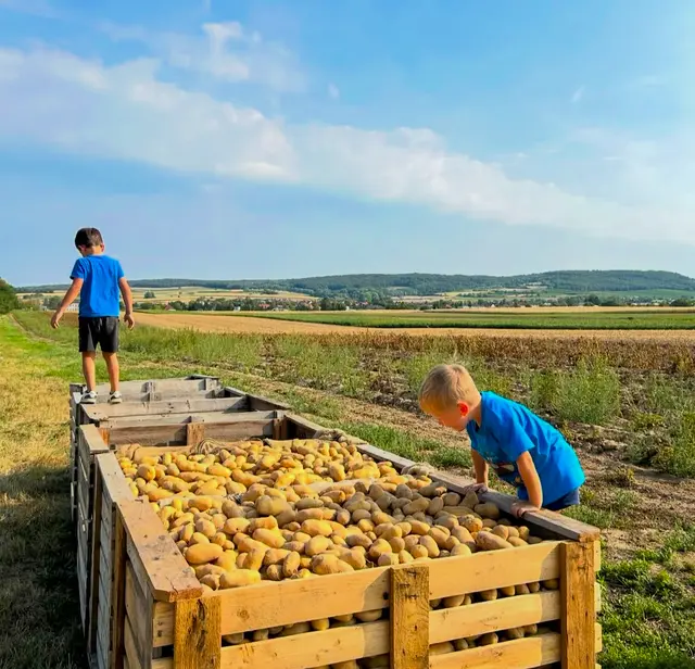 Man sieht, wie Familie, Landwirtschaft und Natur eng miteinander verbunden sind. Zwischen Traktor, Kühlcontainer und den Feldern zeigt sich der Alltag der Haiders – ein Balanceakt zwischen Arbeit, Betreuung der Kinder und der Pflege des Bodens. | Foto: Familie Haider