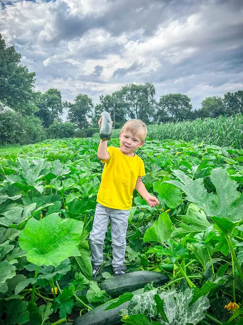 Kartoffeln, Kürbisse und Familienleben – fünf Jahre Grumbianhittn. | Foto: Familie Haider
