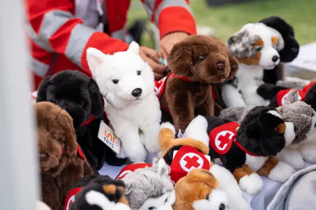 Foto: Valentina Marinelić/MeinBezirk