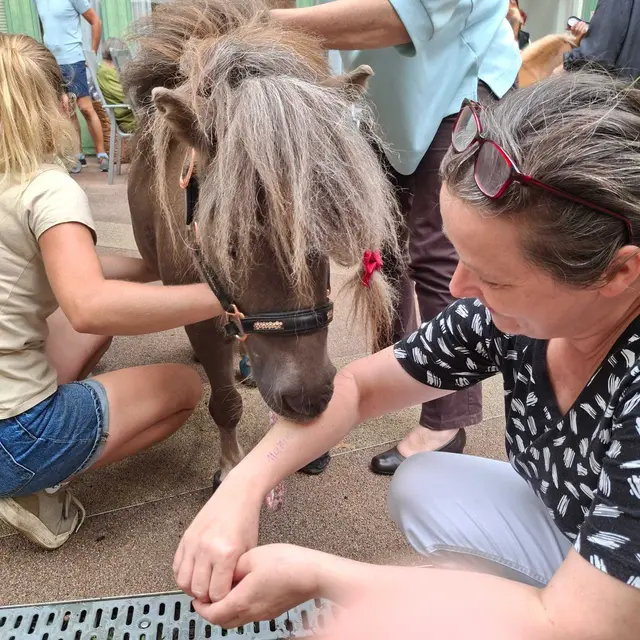Foto: Häuser zum Leben