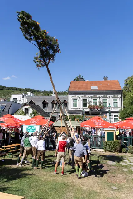 Foto: René Brunhölzl/MeinBezirk