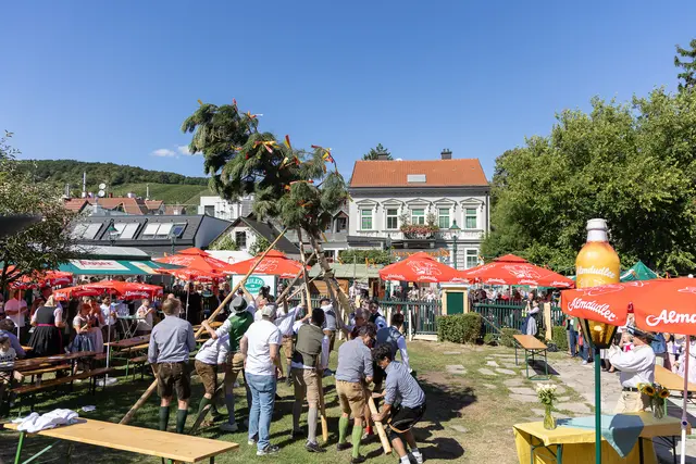 Foto: René Brunhölzl/MeinBezirk