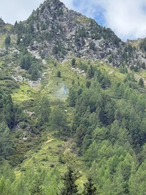 Ein Stück in einem Wald brannte. | Foto: Feuerwehren Niederwölz und Krakaudorf