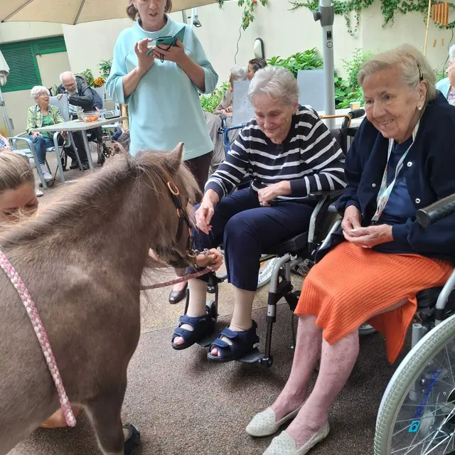 Foto: Häuser zum Leben