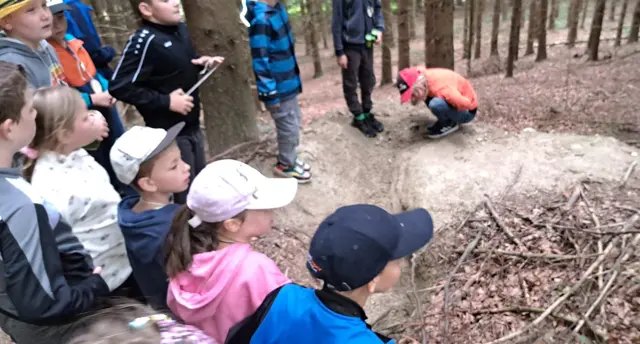 Foto: Jagdgesellschaft Wolfsegg am Hausruck