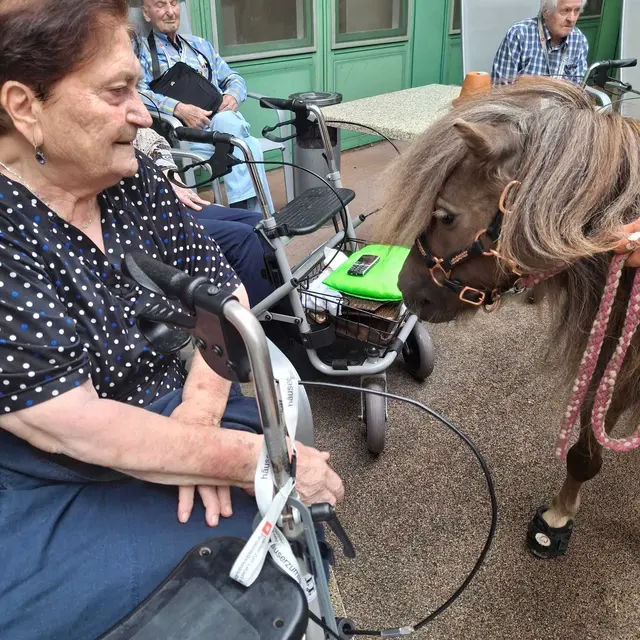 Foto: Häuser zum Leben