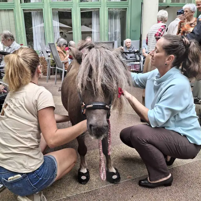 Foto: Häuser zum Leben