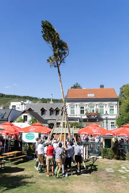 Foto: René Brunhölzl/MeinBezirk