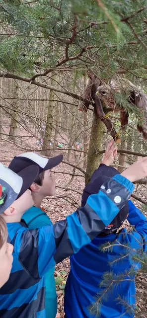 Foto: Jagdgesellschaft Wolfsegg am Hausruck