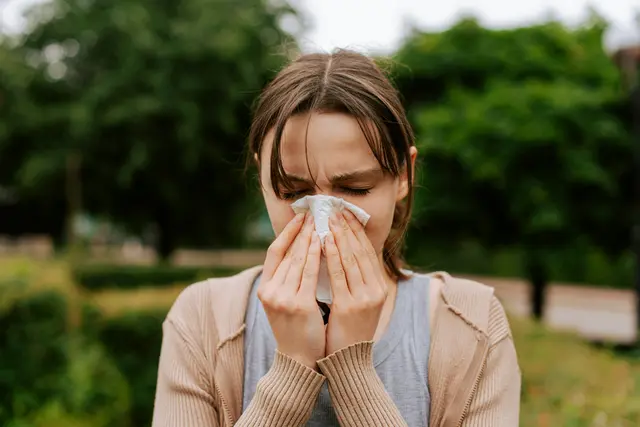 Wienerinnen und Wiener, die gegen Ragweed-Pollen allergisch sind, müssen besonders ab Mittwoch stark sein. (Symbolfoto) | Foto: kateryna-hliznitsova