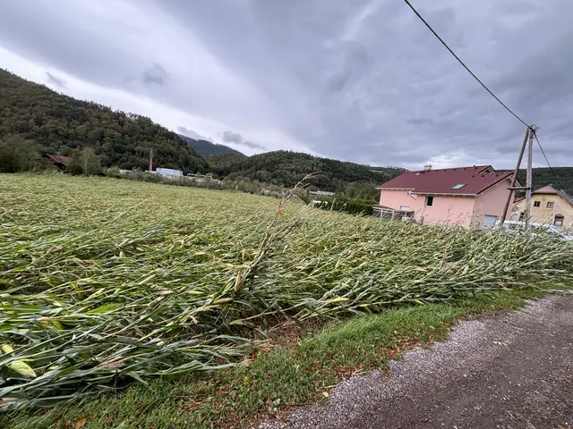 Foto: Freiwillige Feuerwehr Schlöglmühl