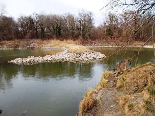 Oftmals zeugt nur noch die Natur von den sagenumwobenen Fleckchen Gänserndorfs. Wir decken auf. | Foto: Rebekka Sadiki-Peckary