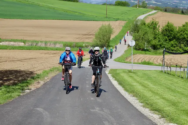 Beim Genuss-Radeln geht es auf zwei familienfreundlichen Strecken zu den schönsten Plätzen in der Ökoregion Kaindorf. | Foto: Alfred Mayer