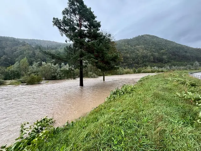 Foto: Freiwillige Feuerwehr Schlöglmühl
