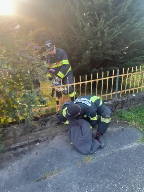 Die Feuerwehr Bärnbach befreite ein Reh, das sich in einem Zaun verfangen hatte. | Foto: FF-Bärnbach