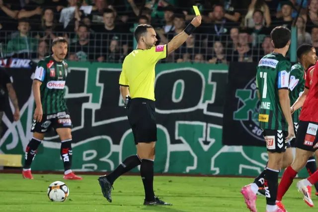 Der Innviertler Bundesligaschiedsrichter Stefan Ebner leitete die Partie. "Es war auch für mich etwas Besonderes", sagte Ebner.  | Foto: Reinhard Schröckelsberger/SV Ried