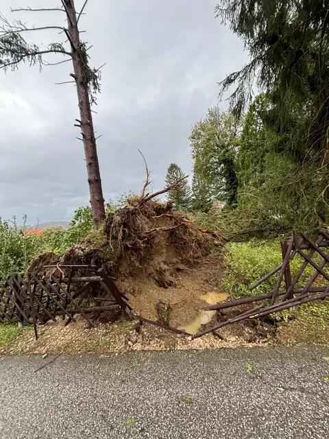Foto: Freiwillige Feuerwehr Schlöglmühl