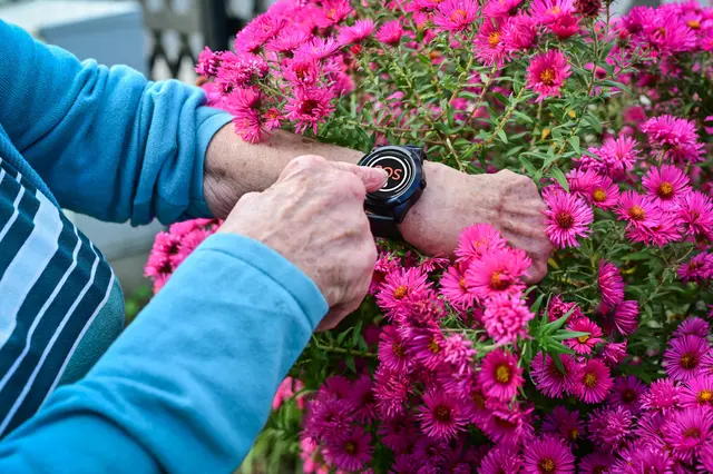 Das Notruftelefon in Niederösterreich wird gefördert. | Foto: Hilfswerk NÖ
