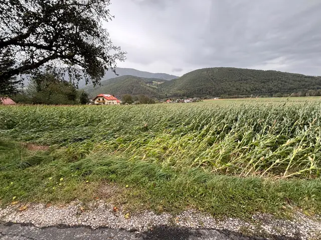 Foto: Freiwillige Feuerwehr Schlöglmühl