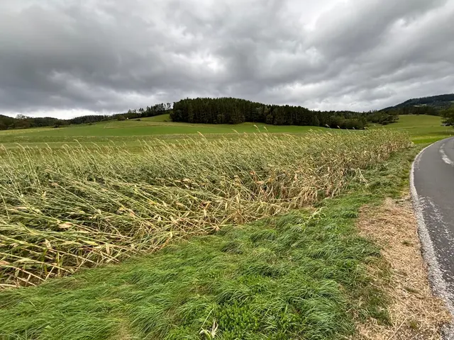 Foto: Freiwillige Feuerwehr Schlöglmühl