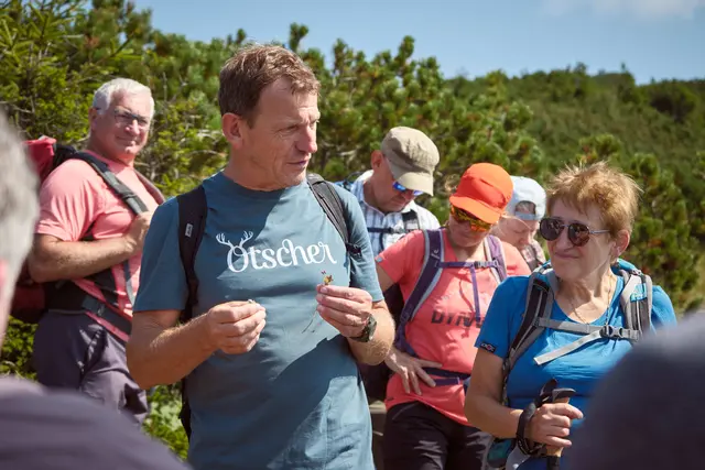Zweite "Klimawanderung" im Naturpark Ötscher-Tormäuer | Foto: Jürgen Thoma/Naturpark Ötscher-Tormäuer