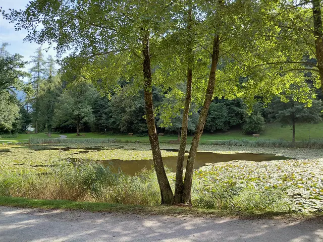 Egelsee  | Foto: H.Bachinger