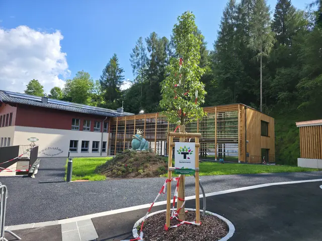 Der Vorplatz der VS mit dem modernen Neubau.  | Foto: Gemeinde Annaberg-Lungötz