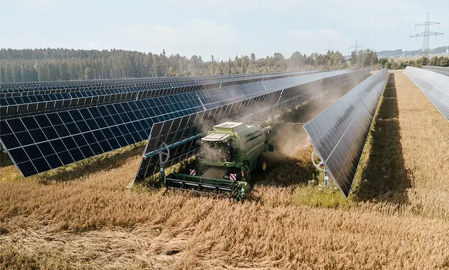 In Pischelsdorf wurde heuer nicht nur Hafer, sondern auch Sonnenstrom geerntet. | Foto: EWS Consulting GmbH