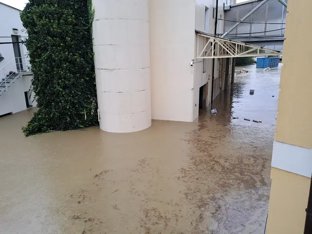 Das gelagerte Getreide in den Silos wurde durch das Hochwasser hart wie Stein | Foto: Gabriele Plattner / Plattner Mühle