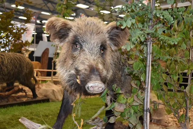 Foto: Michael Strini