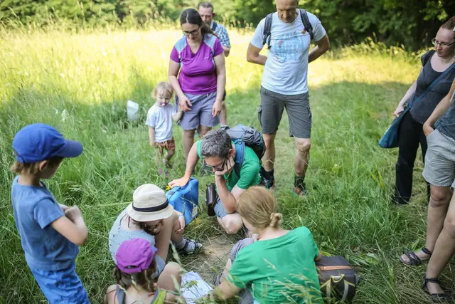 Ausgebildete Expertinnen und Experten statten den jüngsten Kids des Wienerwalds einen lehrreichen Besuch ab. | Foto: BPWW/N. Novak
