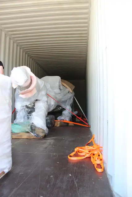 Der Zoo Schmiding in Krenglbach bekommt neue "Bewohner": Zwei österreichische Dinos in Lebensgröße werden die Tierattraktionen ergänzen. | Foto: Zoo Schmiding / Sterns