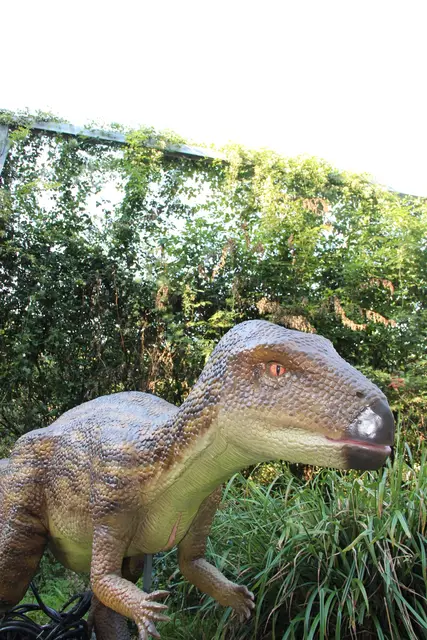 Der Struthiosaurus austriacus, der im heutigen Niederösterreich gelebt haben soll, und der Mochlodon bereichern in Lebensgröße den Zoo Schmiding. | Foto: Zoo Schmiding / Sterns