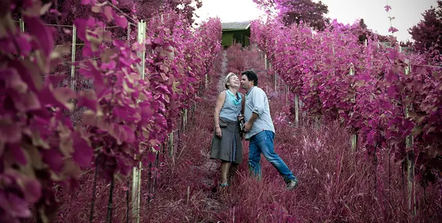 Peter Uhler und seine Frau bauen gemeinsam in Döbling ihren Wein an. Am oberen Reisenberg hat ihr Buschenschank samstags geöffnet. | Foto: Peter Uhler