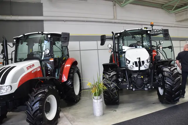 Foto: Michael Strini