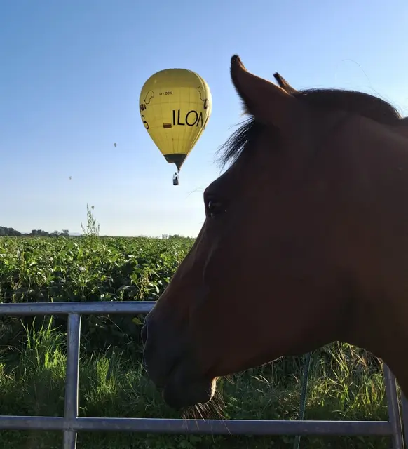 Foto aus Winklarn | Foto: Choco Philip