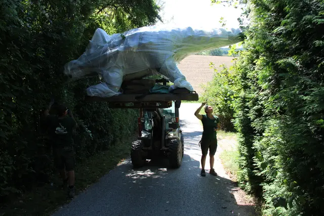 Der Zoo Schmiding in Krenglbach bekommt neue "Bewohner": Zwei österreichische Dinos in Lebensgröße werden die Tierattraktionen ergänzen. | Foto: Zoo Schmiding / Sterns