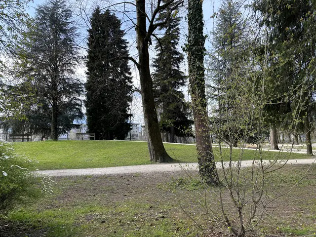 Den Abschluss des Festivals "Live in Salzburg" bilden zwei Wochenenden mit Konzerten im Volksgarten am 29. und 30. August, sowie am 05. Und 06. September. Auf zwei Bühnen treten über 30 Bands und Acts auf | Foto: Lisa Gold 