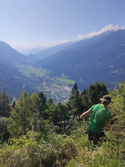 Projektleiter Gisbert legt beim Entfernen von Rosenbüschen selbst Hand an | Foto: Lucas Gasthauer