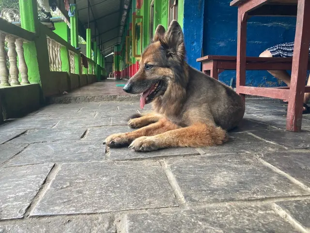 Foto: Stefan Liebhart