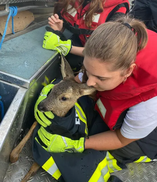 Das Tier konnte von den Einsatzkräften gerettet und wieder freigelassen werden. | Foto: Freiwillige Feuerwehr Höflein und Wilhering