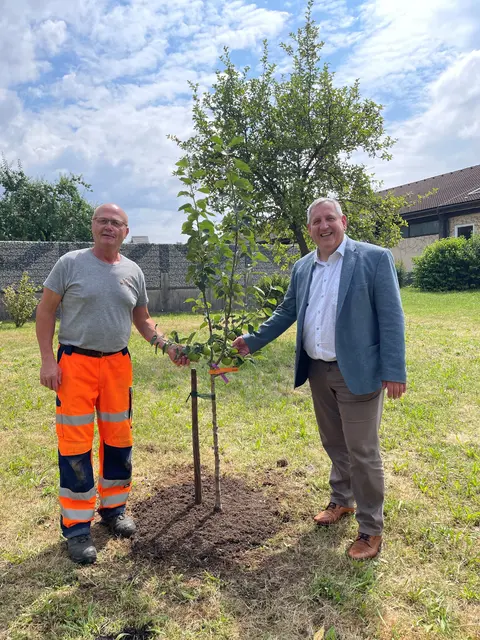 Ein Apfelbäumchen als Zeichen der Freundschaft. | Foto: Stadtgemeinde Laakirchen
