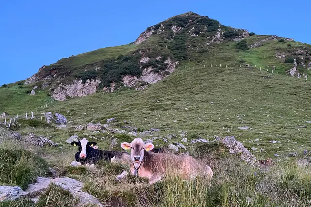 "Land der Berge: Almgeschichten aus Salzburg" wird am 4. September um 20.15 Uhr auf ORF III ausgestrahlt (Symbolfoto). | Foto: Land Salzburg/Melanie Hutter