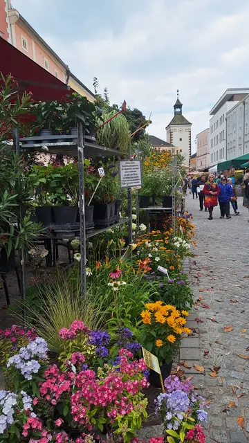 Der Vöcklabrucker Wochenmarkt ist jeden Mittwoch von jeden Mittwoch von 7 bis 13 Uhr