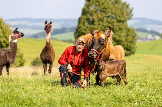 Babyrind Martin mit seiner Hebamme und Namensgeber Tierpfleger Martin und Mama Alma. | Foto: Gut Aiderbichl