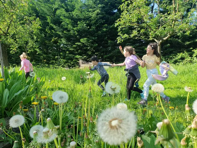 Streuobstwiesen sind nicht nur wertvolle Lebensräume, sondern auch eine bedeutende Grundlage für regionale Wertschöpfung. | Foto: Naturpark Rosalia-Kogelberg