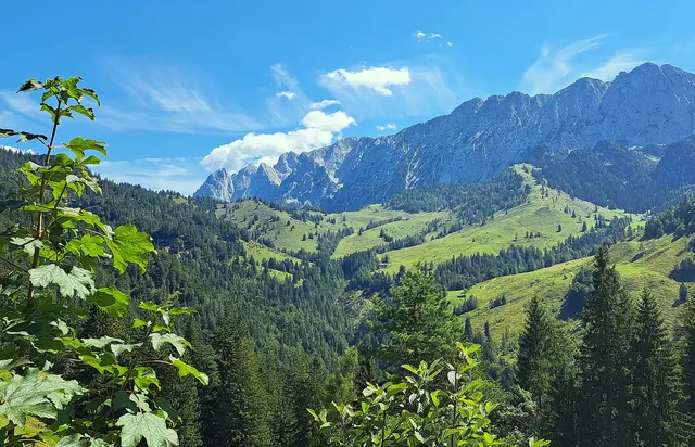 Foto: © Friedl Schwaighofer